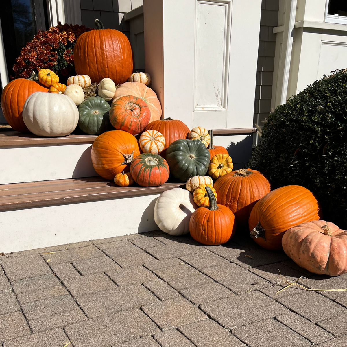 Signature Entry