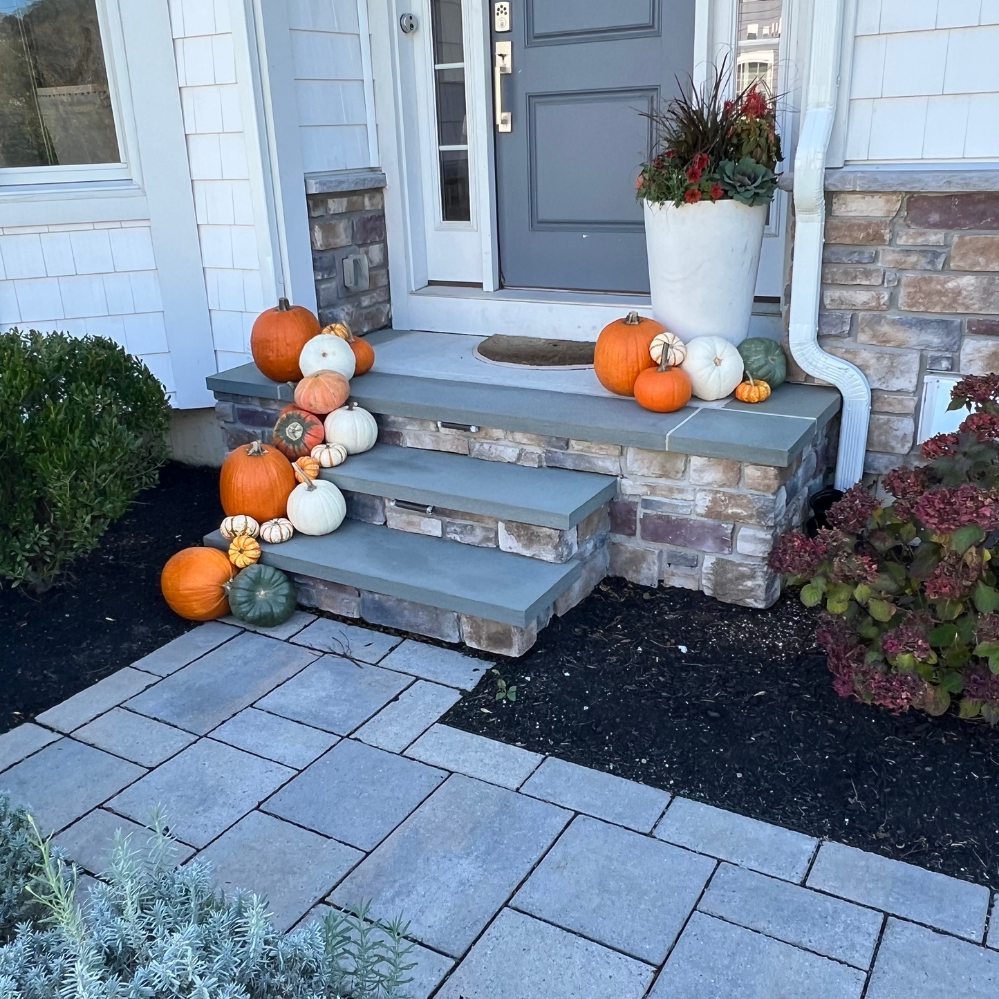 Fall Accent