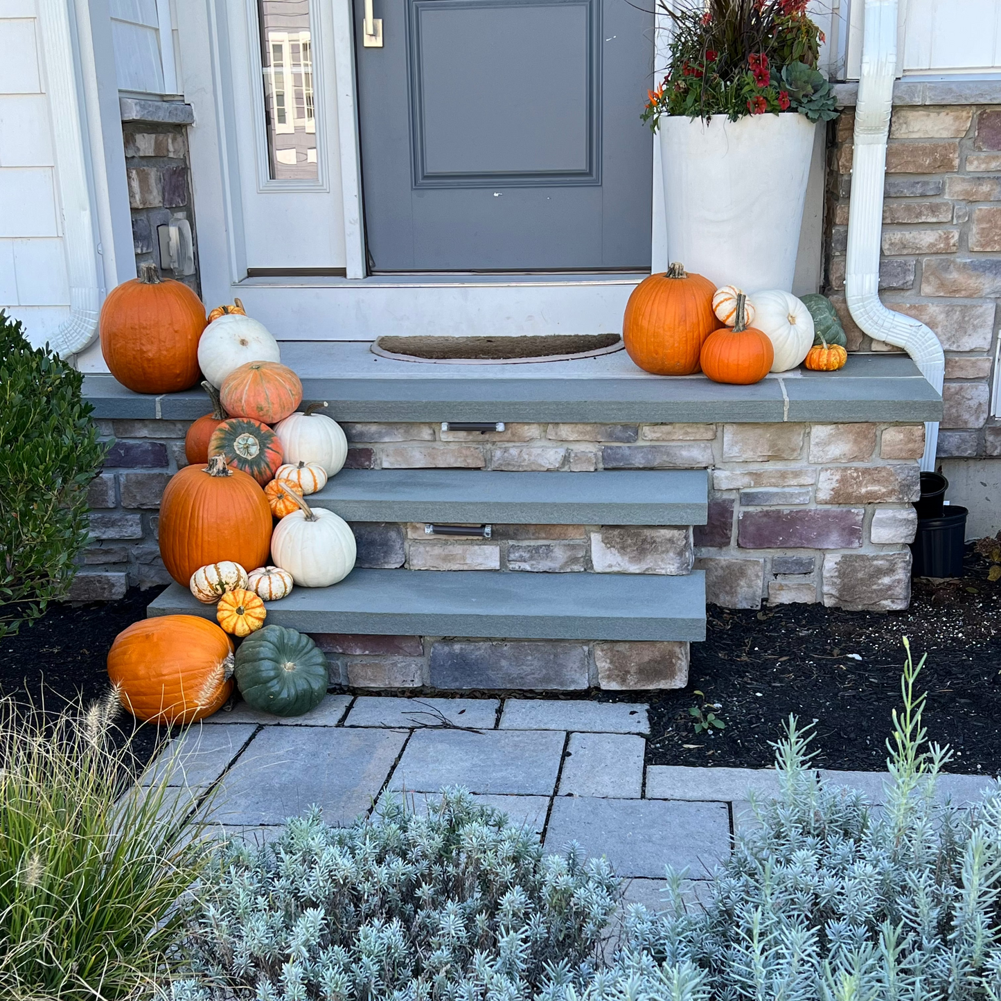 Fall Accent